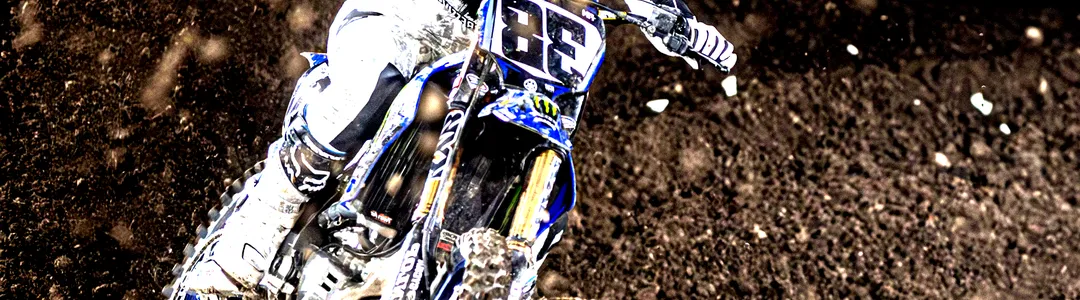 AMA Pro Motocross Championship