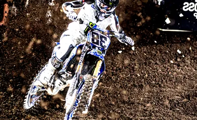 AMA Pro Motocross Championship