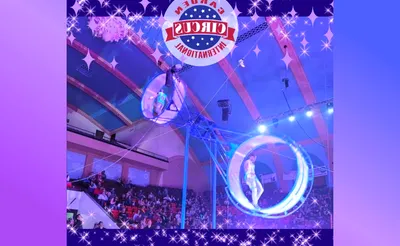 Carden International Circus Spectacular