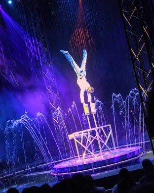 Cirque Italia: Water Circus Metropolis