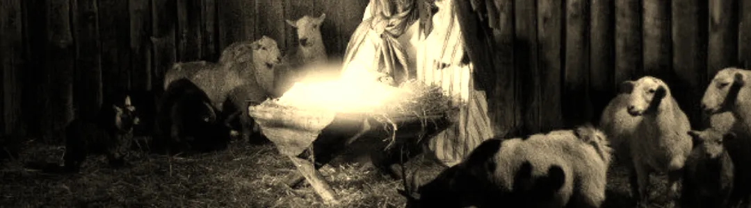 Miracle of Christmas - Live On Stage