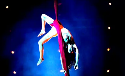 Paranormal Cirque II