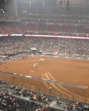 Bull Riding & Barrel Racing